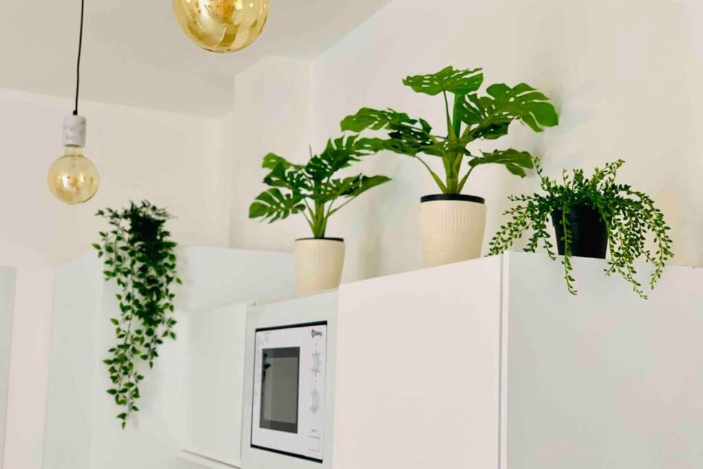 Roof Top Luxury City Center Apartment By Namaste Elite Torremolinos Eksteriør billede